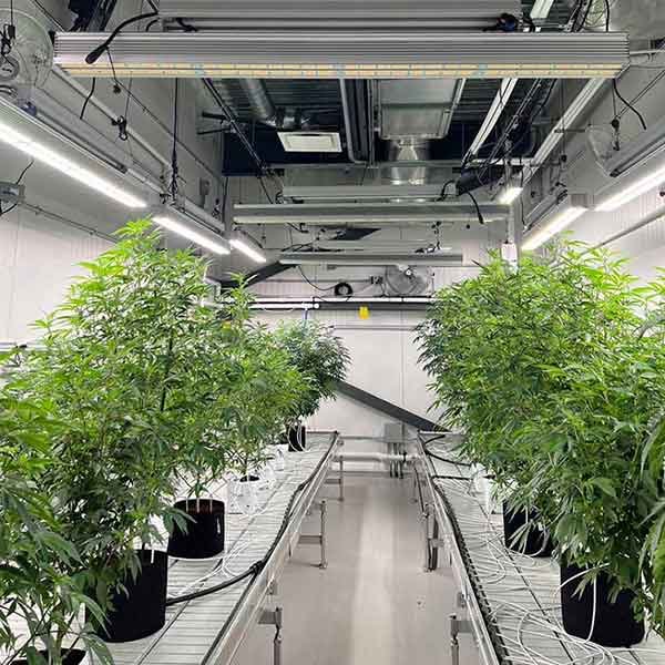 Goals of the AGR PROJECT