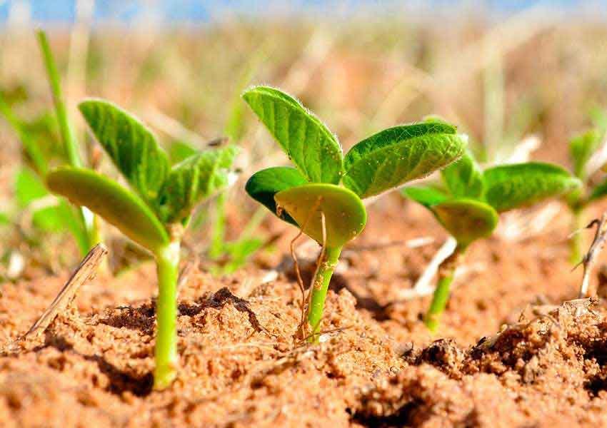 Goals of the AGR PROJECT